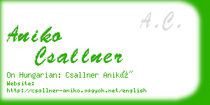 aniko csallner business card